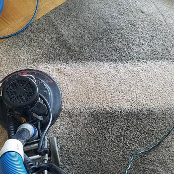 Carpet Cleaning Gallery 16